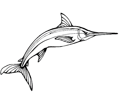 Swordfish-Coloring-Pages (1)(kids)