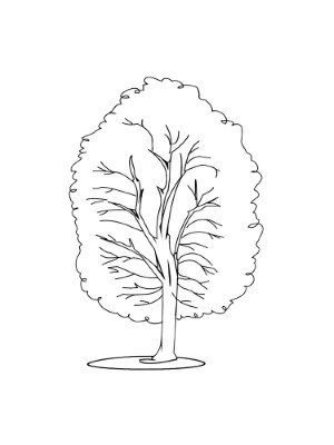 Tall-Tree-Coloring-Page (kids)