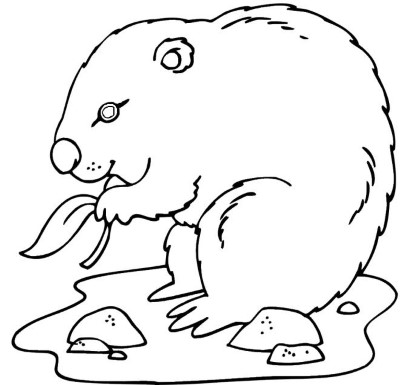 Groundhog-Eating-Coloring-Page (kids)