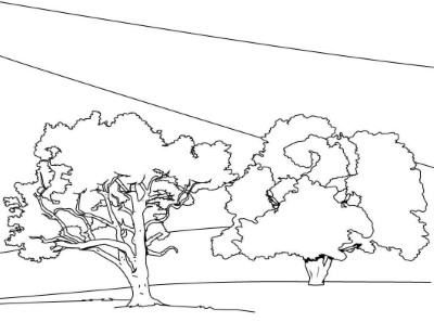 Coloring-Page-Trees (kids)