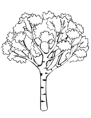 Tree-Coloring-Pages-To-Print (kids)