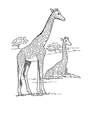 Giraffe-Wildlife-Coloring-Pages (kids)