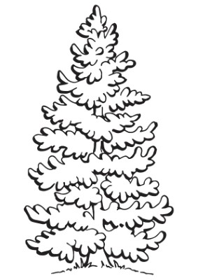 Evergreen-Tree-Coloring-Page (kids)
