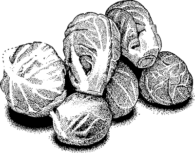 Pile-of-Brussels-Sprouts-Coloring-Page (kids)