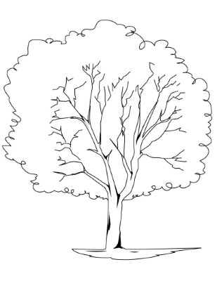 Tree-Coloring-Page (1) (kids)