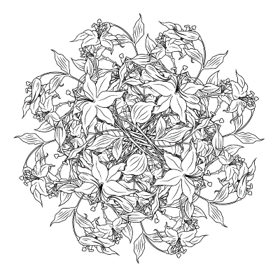 Pretty-Flowers-Coloring-Page-Printable (kids)