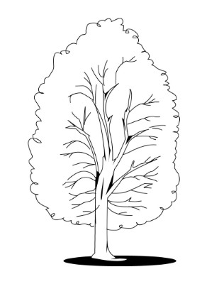 Fall-Tree-Coloring-Pages (kids)