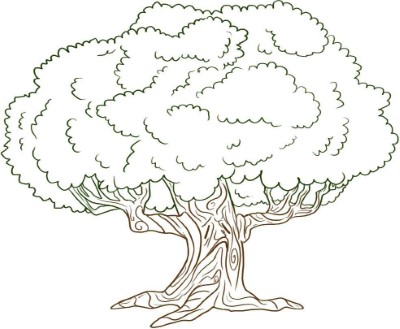 Tree-Coloring-Pages-Pictures (kids)