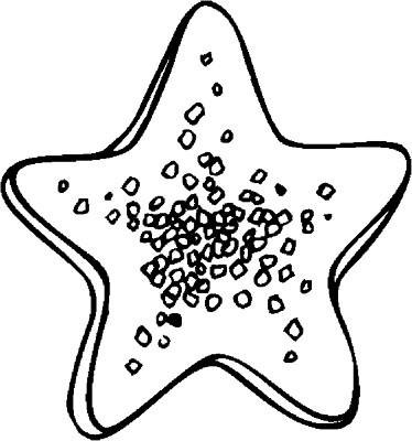 Christmas-Star-Cookie-Coloring-Page (kids)