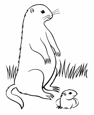 Groundhog-and-Baby-Coloring-Page (kids)