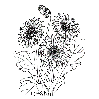 Wild-Flowers-Coloring-Page (kids)