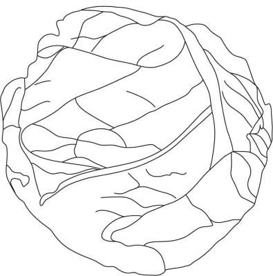 Easy-Brussels-Sprouts-Coloring-Page (kids)
