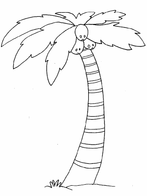 Coconut-Tree-Coloring-Page (kids)