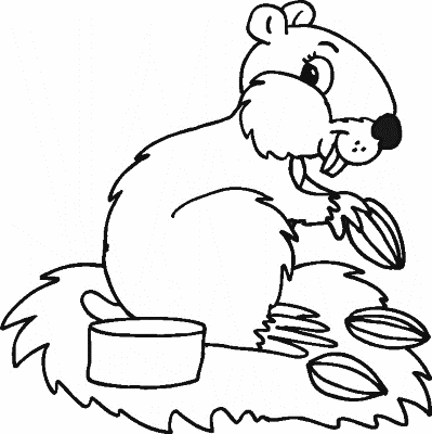 Squirrel-Wildlife-Coloring-Page (kids)