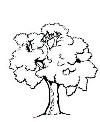 Tree-Coloring-Page (kids)
