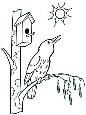 Bird-Singing-in-Spring-Coloring-Page (kids)