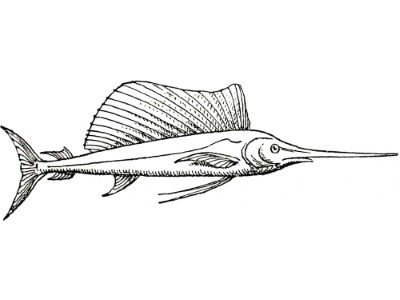 Realistic-Swordfish-Coloring-Page (kids)