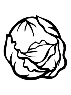 Single-Brussel-Sprout-Coloring-Page (kids)