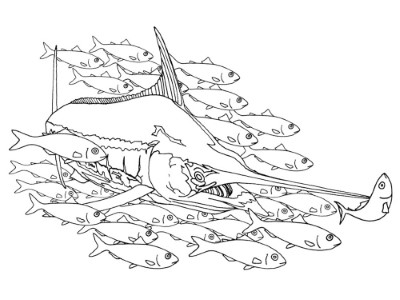 Fish-and-Swordfish-Coloring-Page (kids)