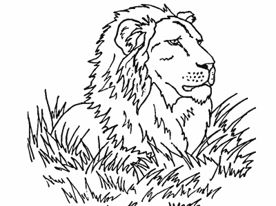 Lion-Wildlife-Coloring-Page (kids)