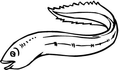 Eel-Coloring-Page (1) (kids)