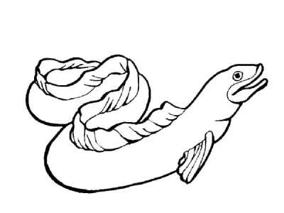 Eel-Coloring-Page (kids)