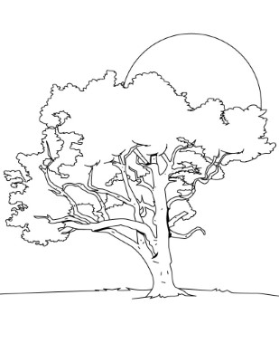 Coloring-Pages-of-Trees (kids)