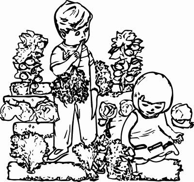 Children-Harvesting-Herbs-in-Garden-Coloring-Page (kids)