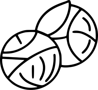 Two-Brussel-Sprouts-Coloring-Page (kids)