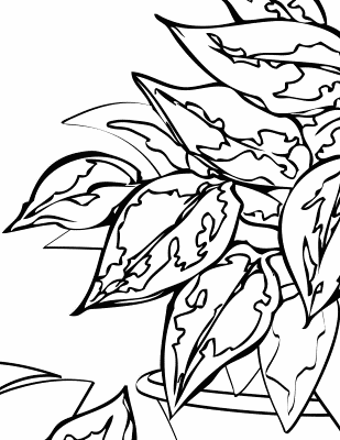 Philodendron-House-Plant-Coloring-Page (kids)