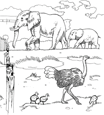 Wildlife-Coloring-Pages-scaled (kids)