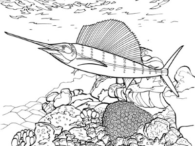 Swordfish-in-a-Reef-Coloring-Page (kids)